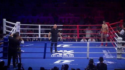 拳王猛虎在线观看,激战巅峰，热血沸腾的在线对决  第3张